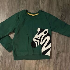 Zebra green unisex sweaters no tag fits 5T